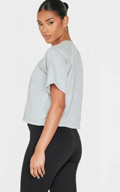 Ash Grey Contrast Embroidered Studio Print Sweat Top