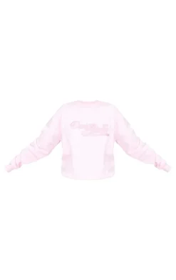 Baby Pink Design Studio Embroidered Sweatshirt