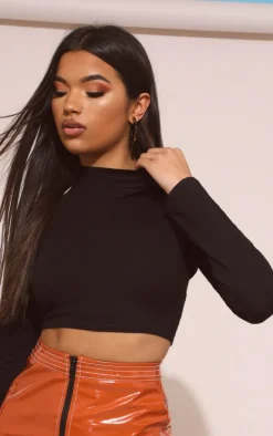 Black High Neck Long Sleeve Crop Top