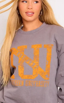 Charcoal Northern University Washed Sweatshirt