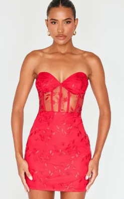 Cherry Red Floral Mesh Overlay Corset Mini Dress