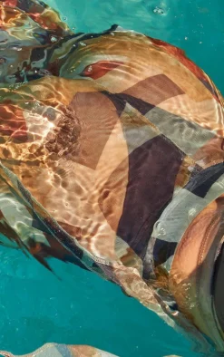 Chocolate Abstract Print Mesh Wide Leg Pants