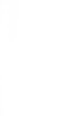 Cream Faded Snatched Rib Short Sleeve Detail Crop Top