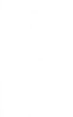 Cream Faded Snatched Rib High Neck Fitted Top