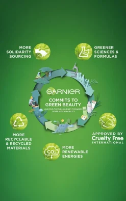 Garnier Moisture Bomb Hydrating Green Tea Face Sheet Mask Combination Skin