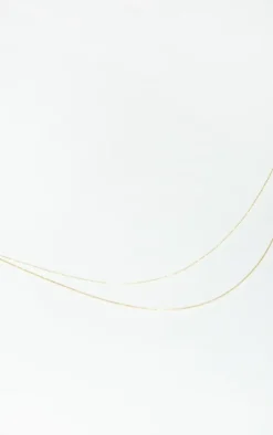 Gold Dainty Simple Chain Double Layering Necklace
