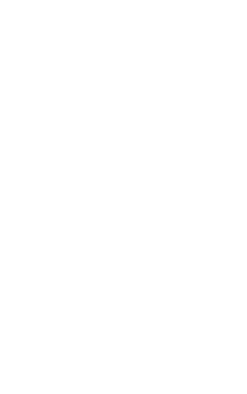 Green Animal Swirl Print O Ring Triangle Bikini Top