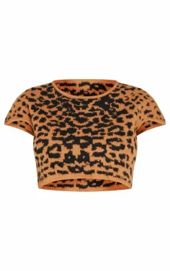 Leopard Print Textured Knit Basic Crop Top