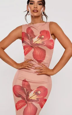 Nude Printed Mesh Floral Print Maxi Dress