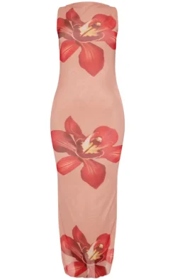 Nude Printed Mesh Floral Print Maxi Dress