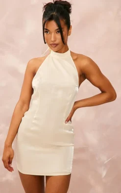 Nude Shiny Halterneck Backless Bodycon Dress