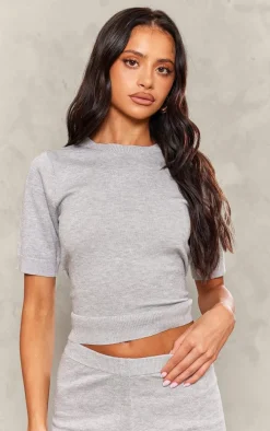Petite Ash Grey Fine Knit Short Sleeve Top