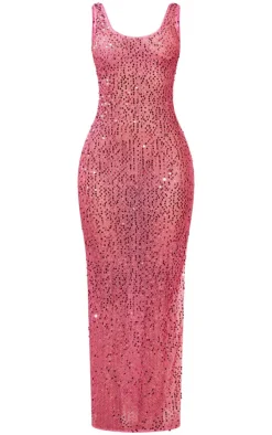 Petite Bright Pink Sequin Sheer Maxi Dress