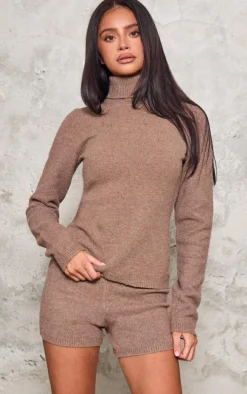 Petite Brown Knitted High Neck Long Top