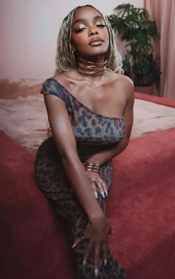 Petite Leopard Print Crushed Mesh One Shoulder Top