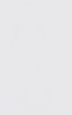 Petite Silver Sequin Backless Maxi Dress