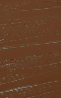 Pink Honey Blend & Defend Concealer