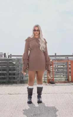 Plus Dark Brown Chiffon Ruffle Detail Long Sleeve A-line Shift Dress