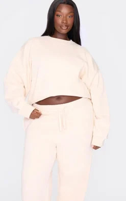 Plus Ecru Premium Basic Crew Neck Crop Sweatshirt