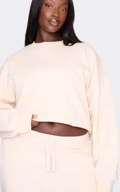Plus Ecru Premium Basic Crew Neck Crop Sweatshirt
