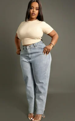 Plus Stone Basic Rib Short Sleeve Crop Top