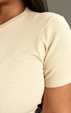 Plus Stone Basic Rib Short Sleeve Crop Top