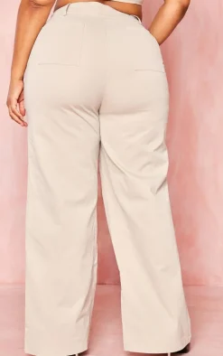 Plus Stone Twill Pocket Detail High Waist Cargo Pants