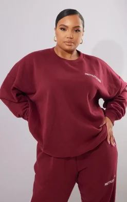 PRETTYLITTLETHING Plus Berry Oversized Sweatshirt