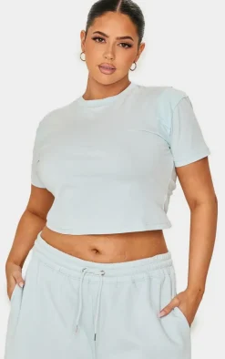 PRETTYLITTLETHING Plus Washed Blue Embroidered Rib Panel T Shirt