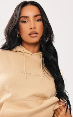 PRETTYLITTLETHING Stone Embroidered Graphic Hoodie