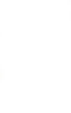 Purple Blurred Floral Print Woven Floaty Maxi Skirt