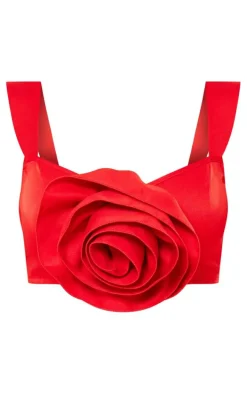Red Extreme Floral Appliqe Crop Top