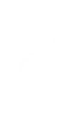 Red Leaf Print Chiffon Side Split Maxi Skirt