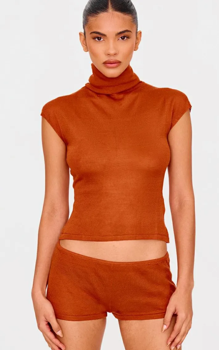Rust Sheer Knit High Neck Top