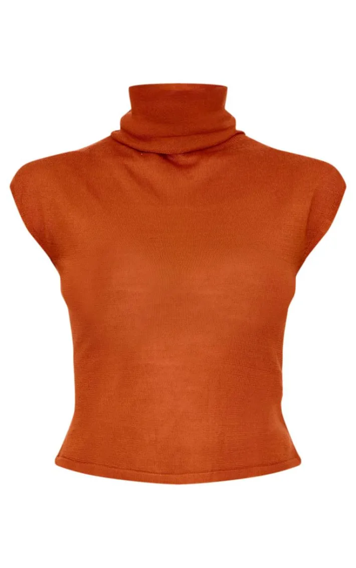 Rust Sheer Knit High Neck Top