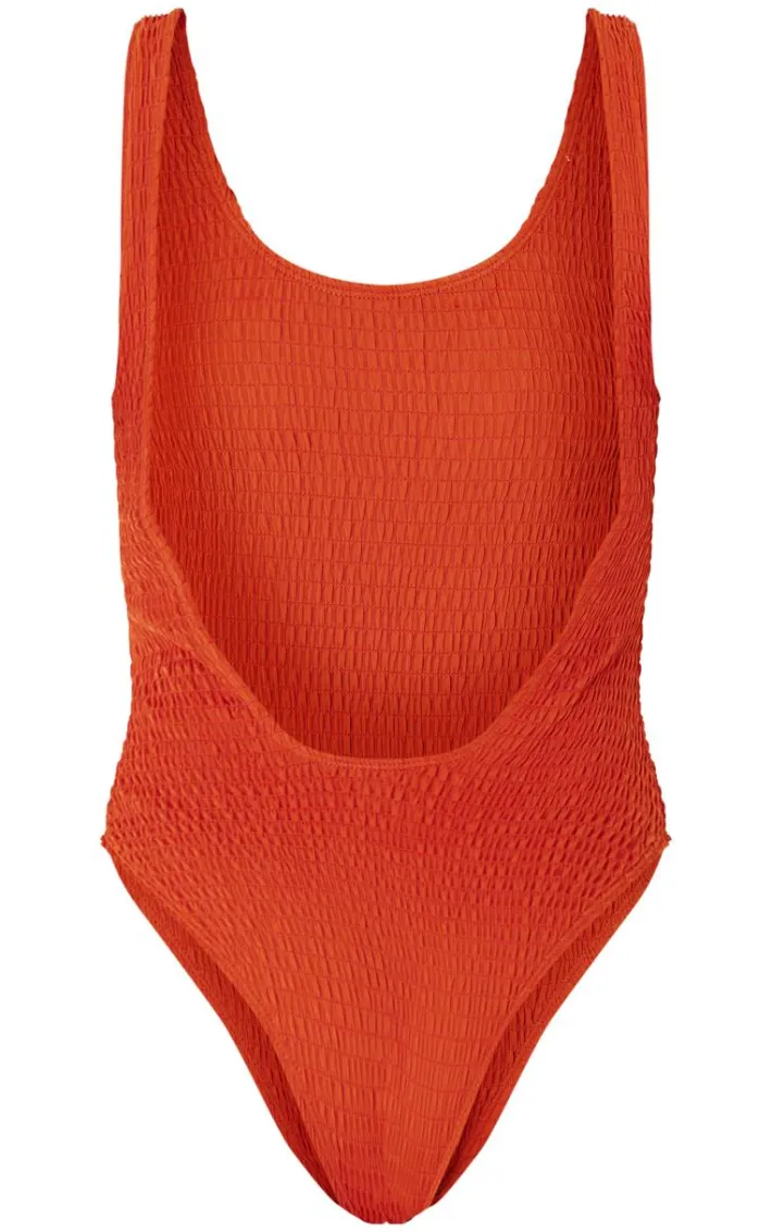 Rust Shirred Backless Swimsuit