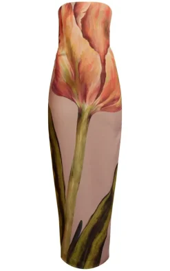 Stone Oversized Chiffon Floral Print Bandeau Maxi Dress