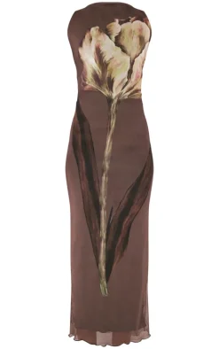 Tall Brown Printed Mesh Floral Print Midaxi Dress