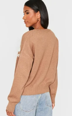 Taupe Graphic Soft Knit Oversized Sweater