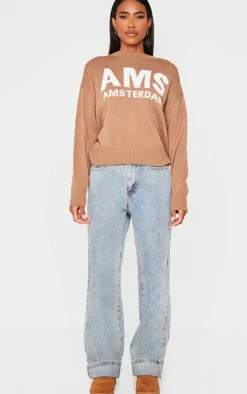 Taupe Graphic Soft Knit Oversized Sweater