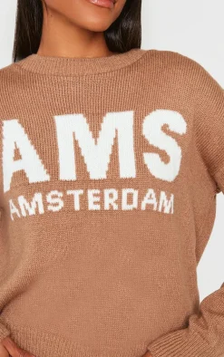 Taupe Graphic Soft Knit Oversized Sweater