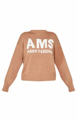 Taupe Graphic Soft Knit Oversized Sweater