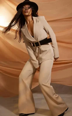 Taupe Woven High Waisted Tailored Wide Leg Pants