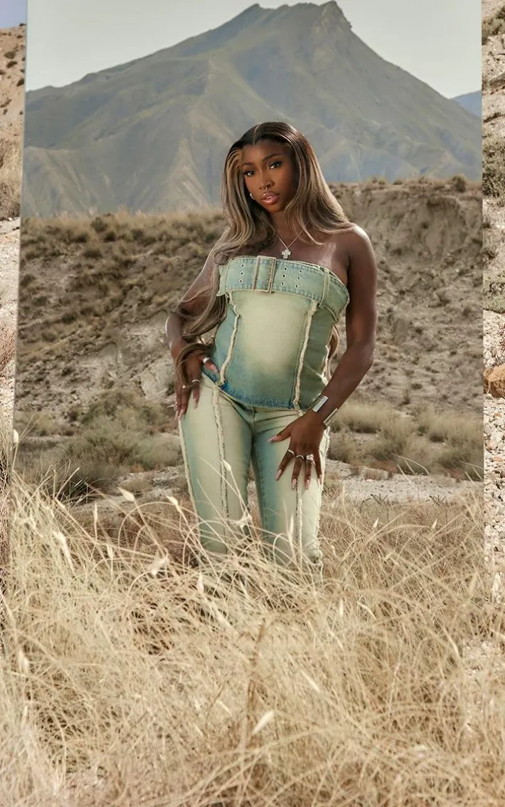 Vintage Bleach Wash Distressed Seam Bandeau Top